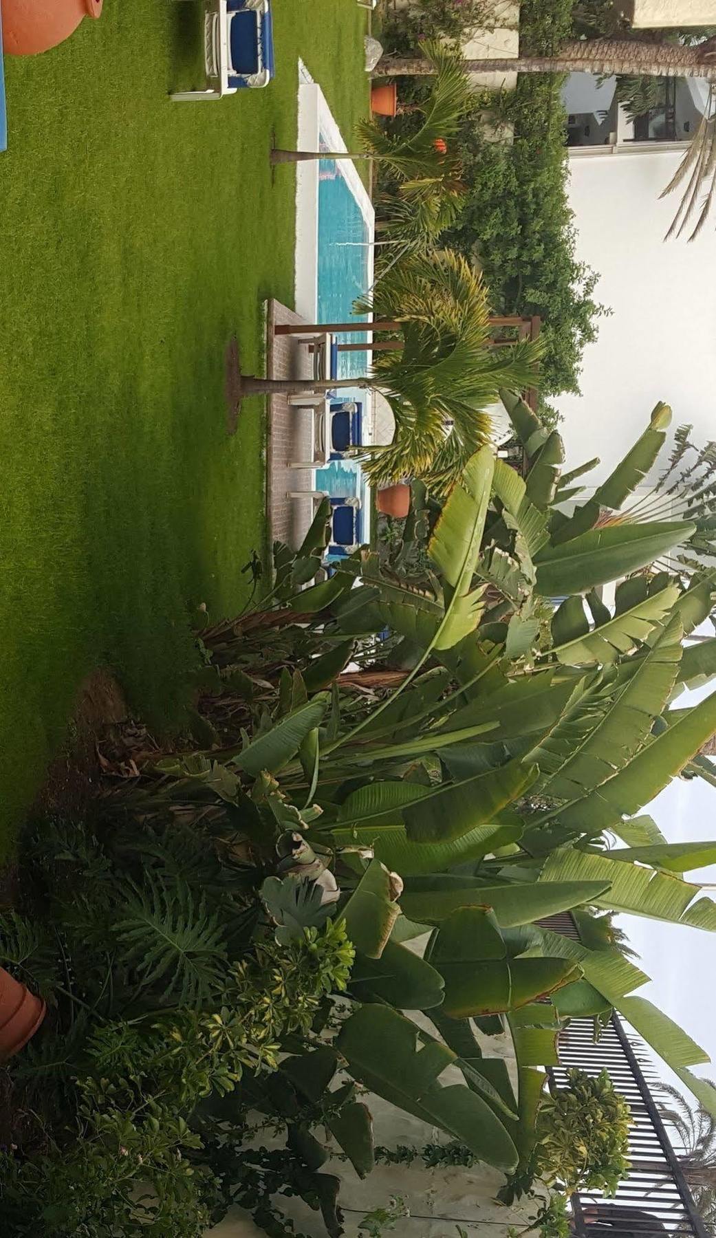 Апартаменты Alsol Nogal (Adults Only) Плайя-дель-Инглес Экстерьер фото